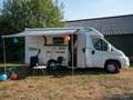 Fiat Ducato Forster T 637 HB Wit - thumbnail 9