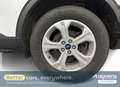 Ford Kuga 2.5 Duratec PHEV - thumbnail 5