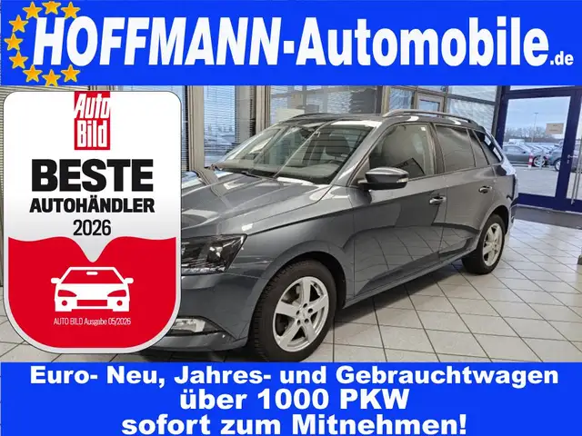 Skoda Fabia Style 1.Hand,Winterräder,LED,PDC,Alu