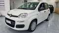 Fiat Panda 1.0 FireFly S&S Hybrid 5Posti Bianco - thumbnail 1