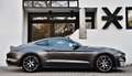 Ford Mustang 2.3 ECOBOOST *** 55 ANNIVERSARY / LIKE NEW *** Gris - thumbnail 3