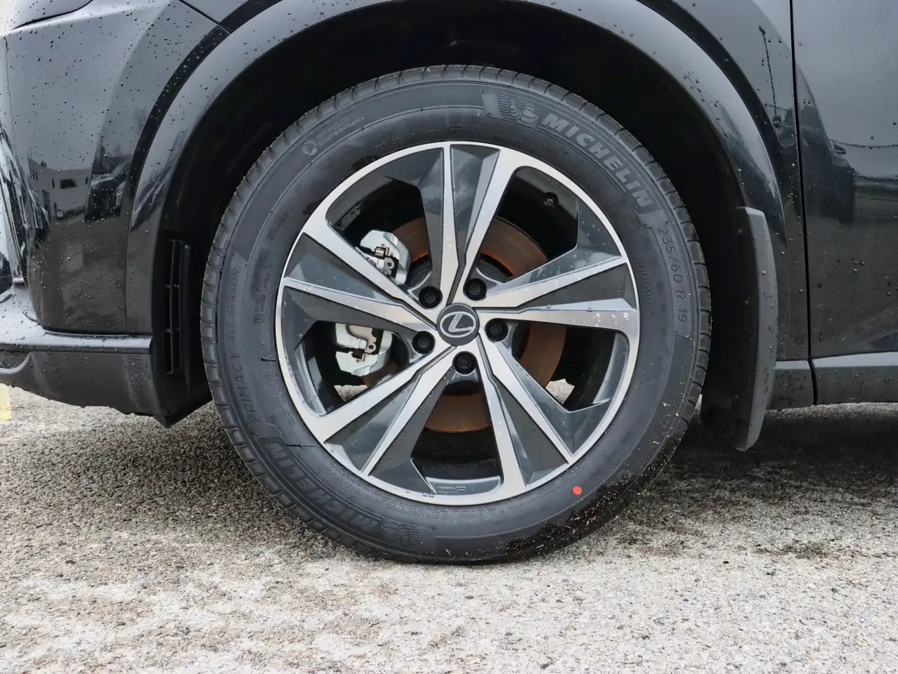 Lexus RX снимка Lexus RX