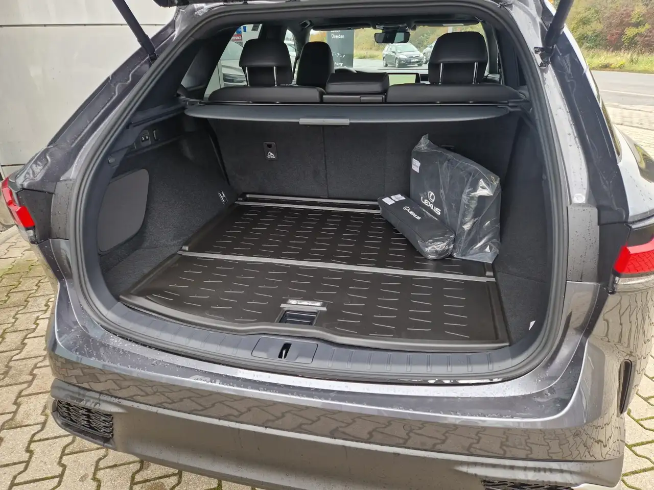 Lexus RX 350 H F Sport Design 4x4 Panorama-Glasdach 6