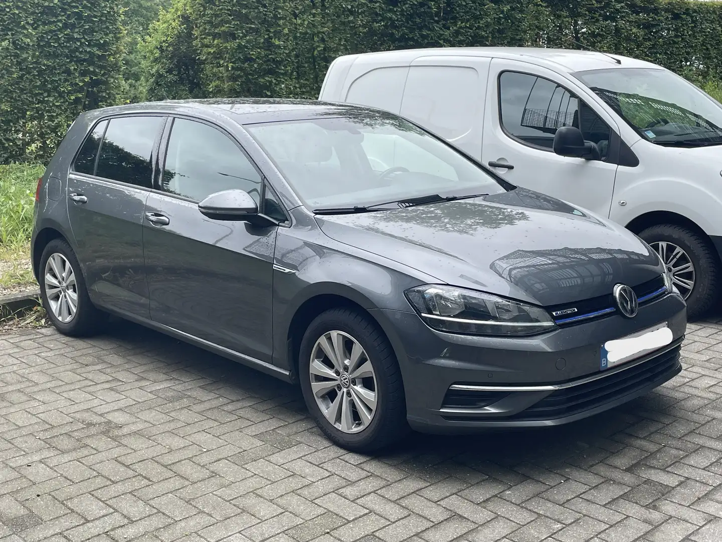 Volkswagen Golf CNG Gris - 2