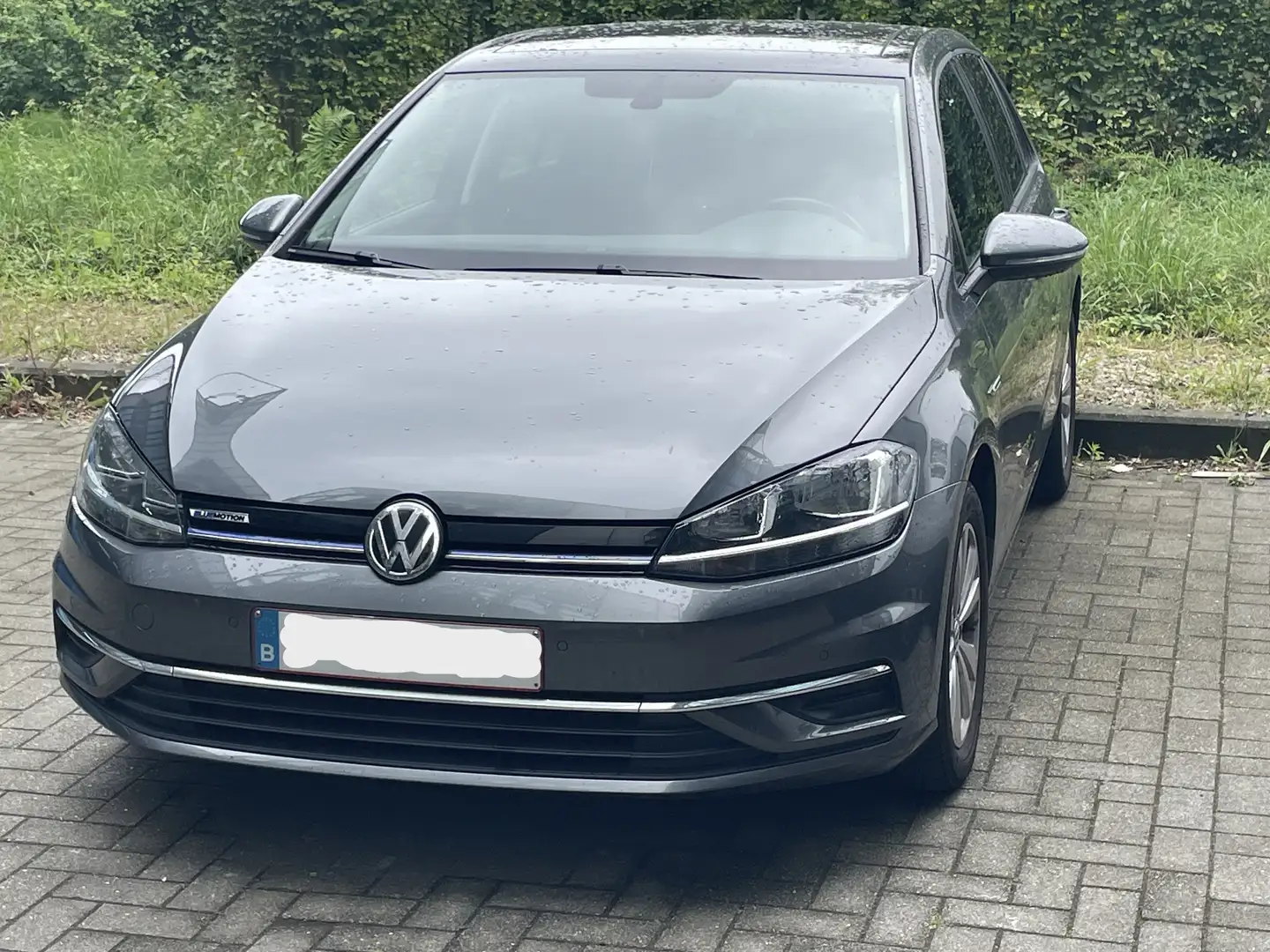 Volkswagen Golf CNG Gris - 1