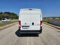 Fiat Ducato 33 2.2 BlueHDi 120 S&S PM-TM Furgone Bianco - thumbnail 7