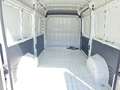 Fiat Ducato 33 2.2 BlueHDi 120 S&S PM-TM Furgone Bianco - thumbnail 10
