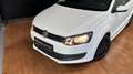 Volkswagen Polo 1.2 Cool Weiß - thumbnail 10