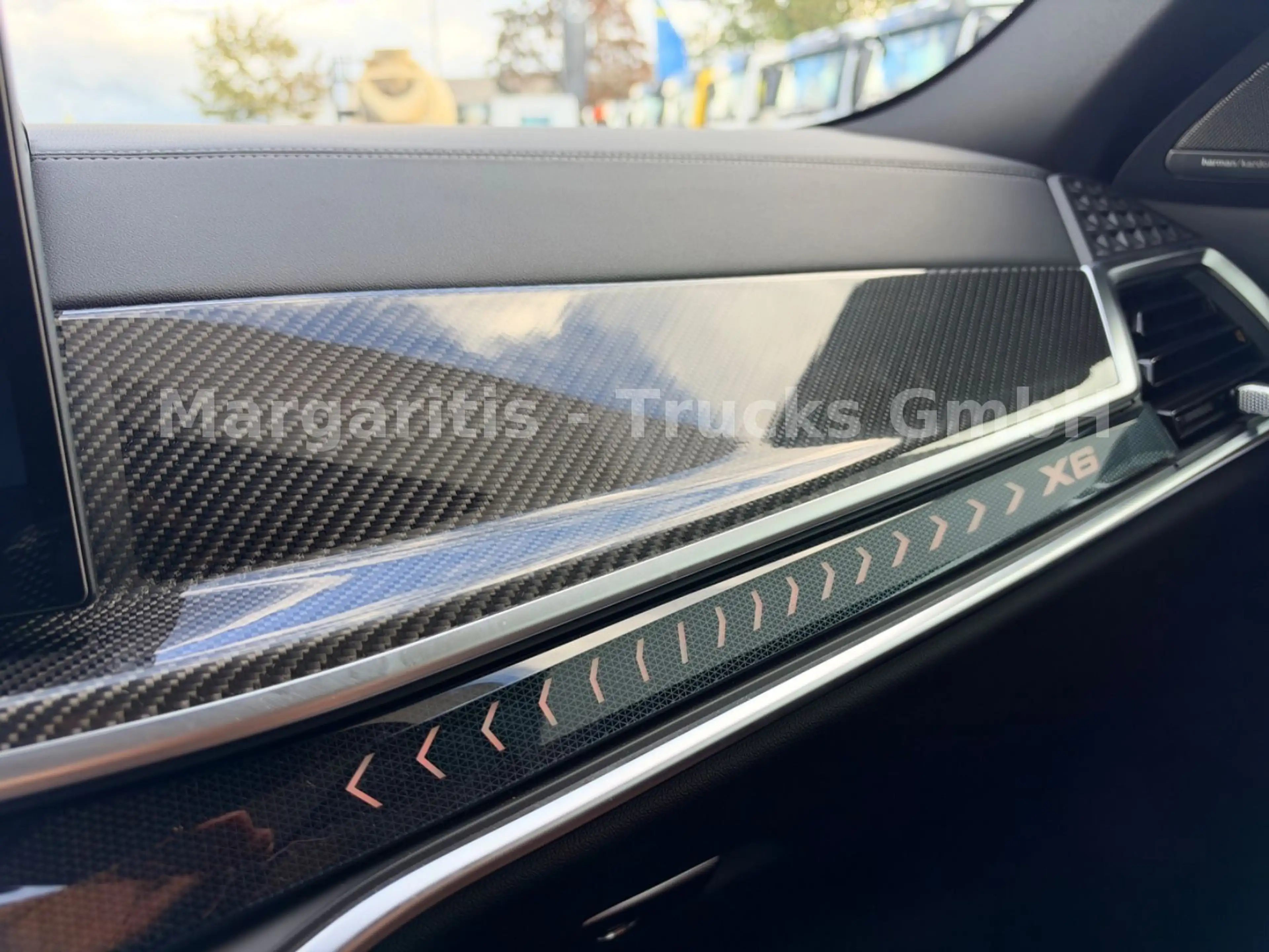 BMW X6 xDrive40d/22"/MPaketPro/Pano/Luft/SoftClose — photo 12