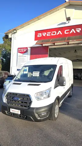 Ford Transit MILD HYBRID 290 L2H2 TREND 2.0 ECO MHEV