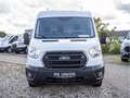 Ford Transit FT290L2 Trend ExpressLine PDC AHK Weiß - thumbnail 2