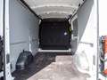 Ford Transit FT290L2 Trend ExpressLine PDC AHK Weiß - thumbnail 6