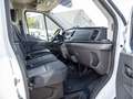 Ford Transit FT290L2 Trend ExpressLine PDC AHK Weiß - thumbnail 8