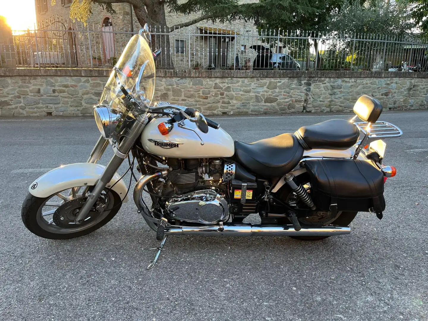 Triumph America LT Wit - 2