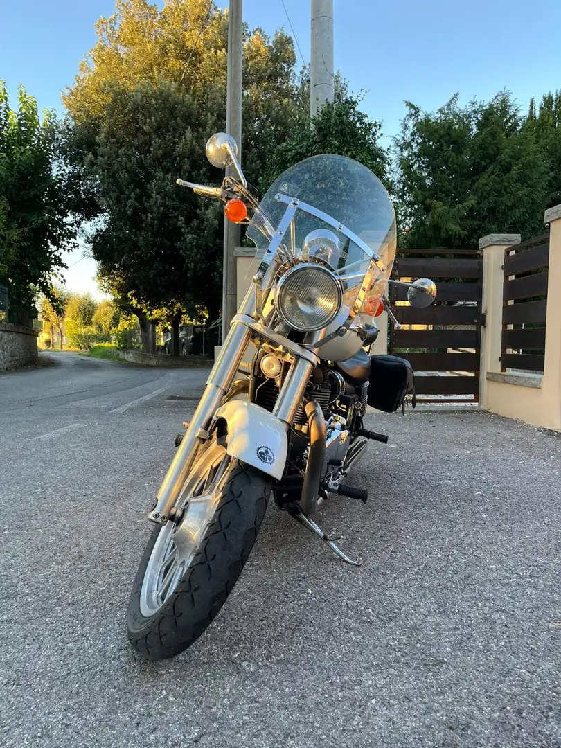 Triumph America LT Wit - 1