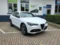 Alfa Romeo Stelvio 2.2 Sprint 160cv auto PROMO PRIME DRIVE!!! Weiß - thumbnail 1