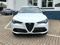 Alfa Romeo Stelvio 2.2 Sprint 160cv auto PROMO PRIME DRIVE!!! Weiß - thumbnail 2