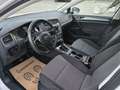 Volkswagen Golf Cool 1,2 BMT TSI Weiß - thumbnail 11