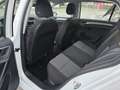 Volkswagen Golf Cool 1,2 BMT TSI Weiß - thumbnail 13
