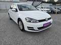 Volkswagen Golf Cool 1,2 BMT TSI Weiß - thumbnail 3