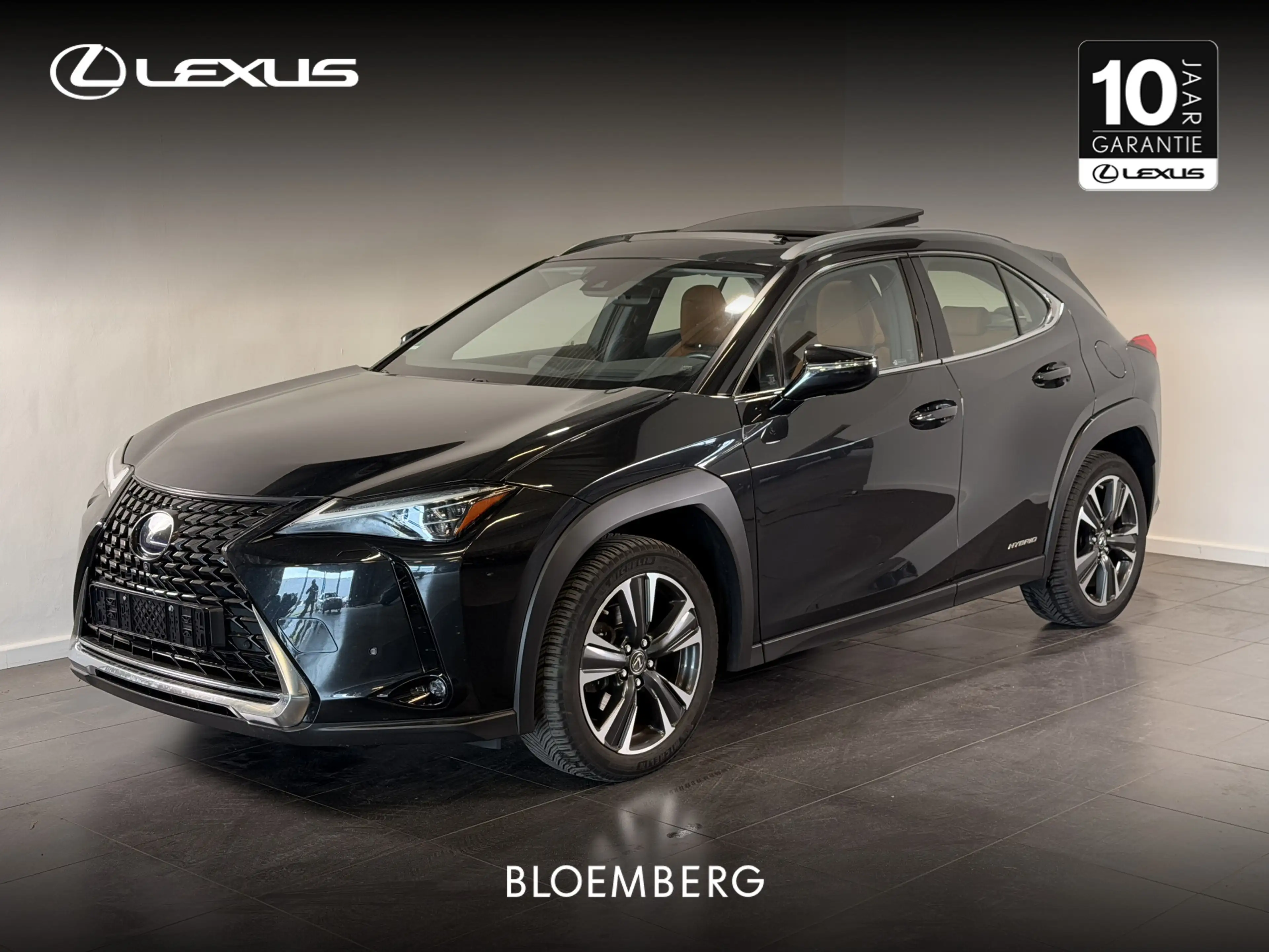 Lexus UX 250h Executive Line | Schuif-kantel dak | Leder |