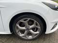 Ford Focus Turnier ST 2,0 Ecoboost Navi Bi-Xenon Weiß - thumbnail 10