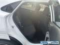 Ford Puma ST-Line 1.0 EcoBoost Mild Hybrid EU6e Navi digital Weiß - thumbnail 10