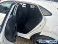 Ford Puma ST-Line 1.0 EcoBoost Mild Hybrid EU6e Navi digital Weiß - thumbnail 13