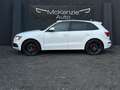 Audi SQ5 3.0 tdi biturbo quattro tiptronic E6 - thumbnail 9
