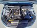 Volkswagen Polo VW POLO 5P 1.0 TSI HIGHLINE 95CV BENZINA 2021 Argento - thumbnail 14