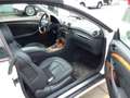 Mercedes-Benz CLK 320 CLK Cabrio 320 Elegance Weiß - thumbnail 3