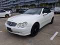 Mercedes-Benz CLK 320 CLK Cabrio 320 Elegance Weiß - thumbnail 1