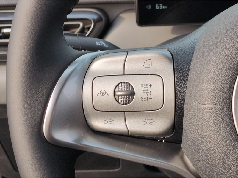 BYD Dolphin Boost*ACC Navi R-Kam Leder el.Sitze — photo 13