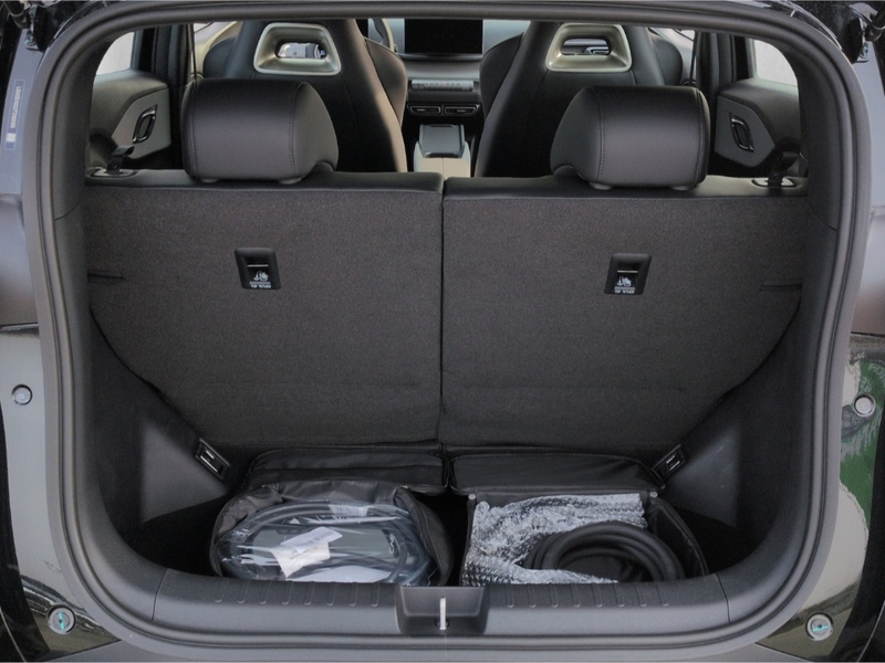 BYD Dolphin Boost*ACC Navi R-Kam Leder el.Sitze — photo 10