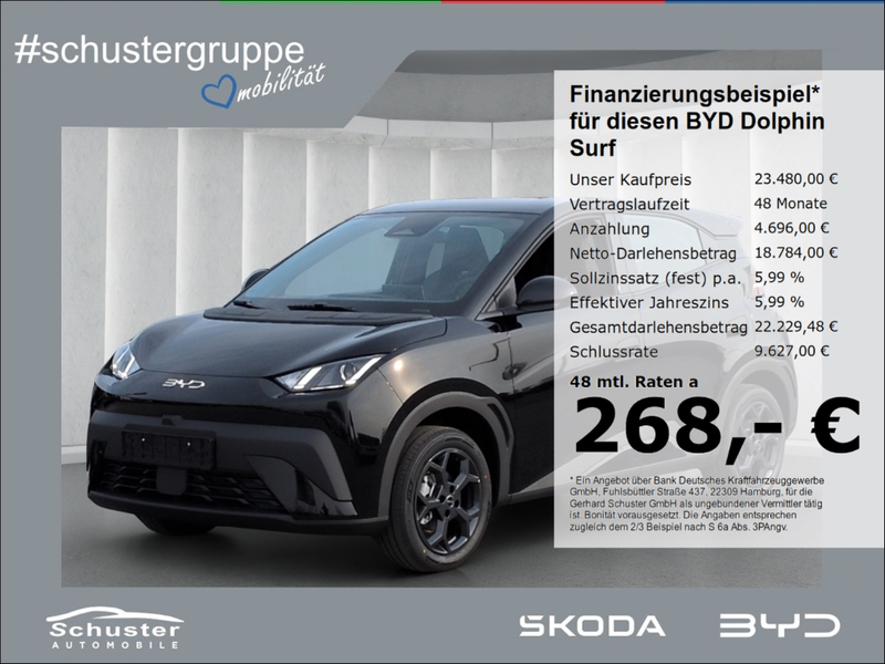 BYD Dolphin Boost*ACC Navi R-Kam Leder el.Sitze