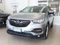 Opel Grandland X 1.5 ECOTEC 130 CV AT8 BUSINESS EDITION Grigio - thumbnail 1