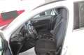 Fiat Tipo 1.6 Mjt S&S SW Business Bianco - thumbnail 7