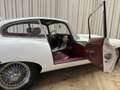 Jaguar E-Type "E" S1 3.8 FHC Fixed Head Coupé / 1962 / 4-Speed M Weiß - thumbnail 28