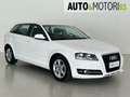 Audi A3 SPB 1.6 TDI CR F.AP. Young Edition Bianco - thumbnail 3