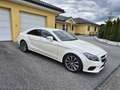 Mercedes-Benz CLS 250 CLS 250 d 4MATIC Shooting Brake Aut. Weiß - thumbnail 1