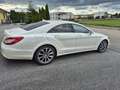 Mercedes-Benz CLS 250 CLS 250 d 4MATIC Shooting Brake Aut. Weiß - thumbnail 2