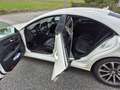 Mercedes-Benz CLS 250 CLS 250 d 4MATIC Shooting Brake Aut. Weiß - thumbnail 8