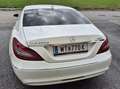 Mercedes-Benz CLS 250 CLS 250 d 4MATIC Shooting Brake Aut. Weiß - thumbnail 3