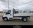 Fiat Ducato 35 2.2 Mjt 140CV PM Cabinato Maxi White - thumbnail 7