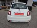 Fiat 500 ECO 1,2 69 Anniversario * 4 Zylinder * Weiß - thumbnail 5