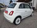 Fiat 500 ECO 1,2 69 Anniversario * 4 Zylinder * Weiß - thumbnail 6