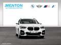 BMW X1 xDrive25e A M Sportpaket Head-Up DAB LED RFK Weiß - thumbnail 11