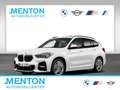 BMW X1 xDrive25e A M Sportpaket Head-Up DAB LED RFK Weiß - thumbnail 1
