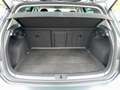 Volkswagen Golf e- Wärmepumpe / CCS-Ladedose ACC DynLi Grau - thumbnail 17