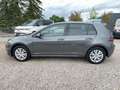 Volkswagen Golf e- Wärmepumpe / CCS-Ladedose ACC DynLi Grau - thumbnail 4